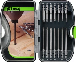 Bitssett 14 deler torx