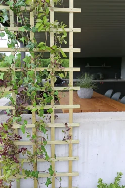 Espalier smal imp