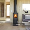 Jøtul F 134 B peisovn sort med glassfront