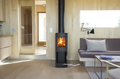 Jøtul F 134 B peisovn sort med glassfront