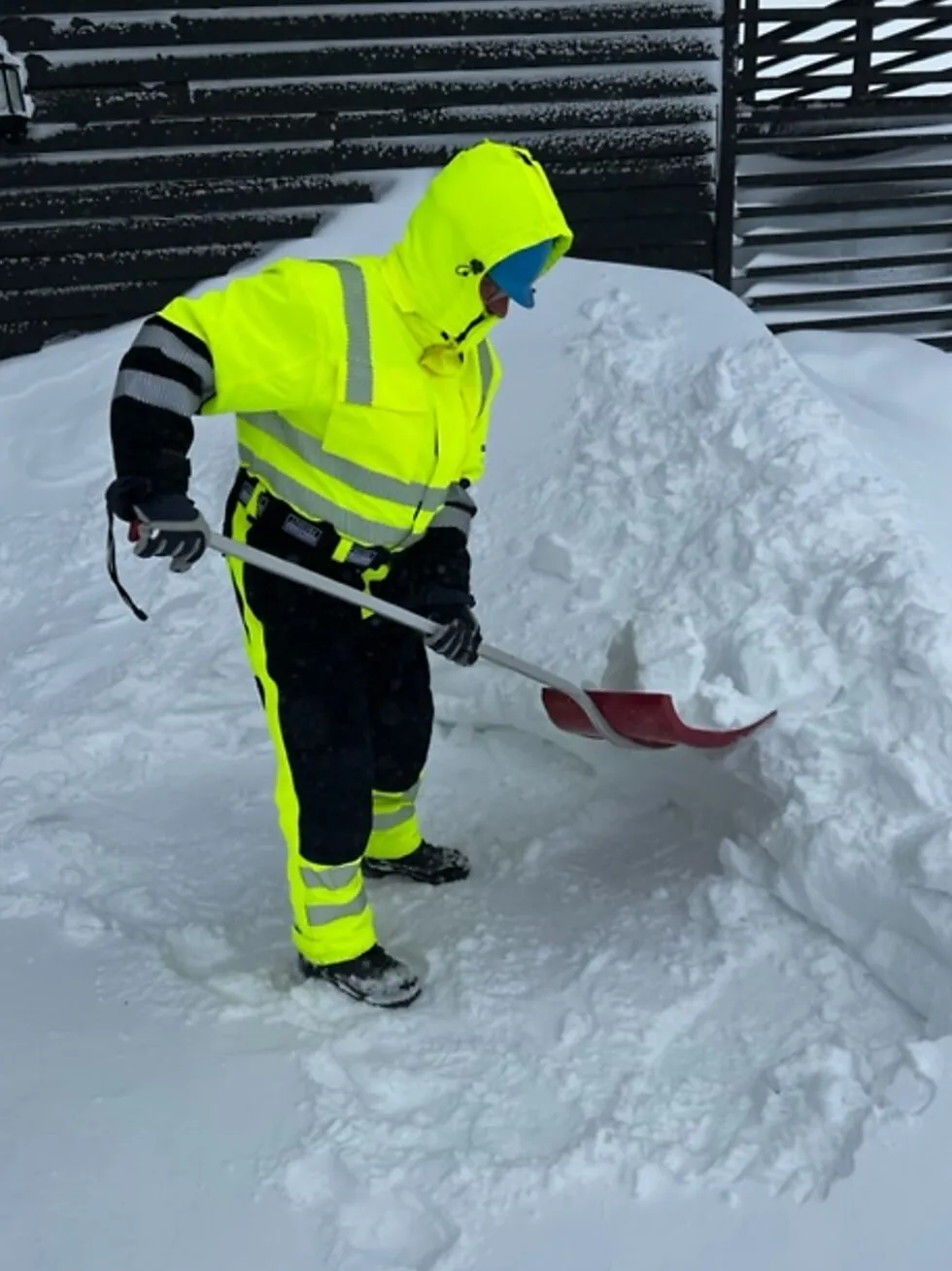 Kjeledress vinter 4WS gul str XL