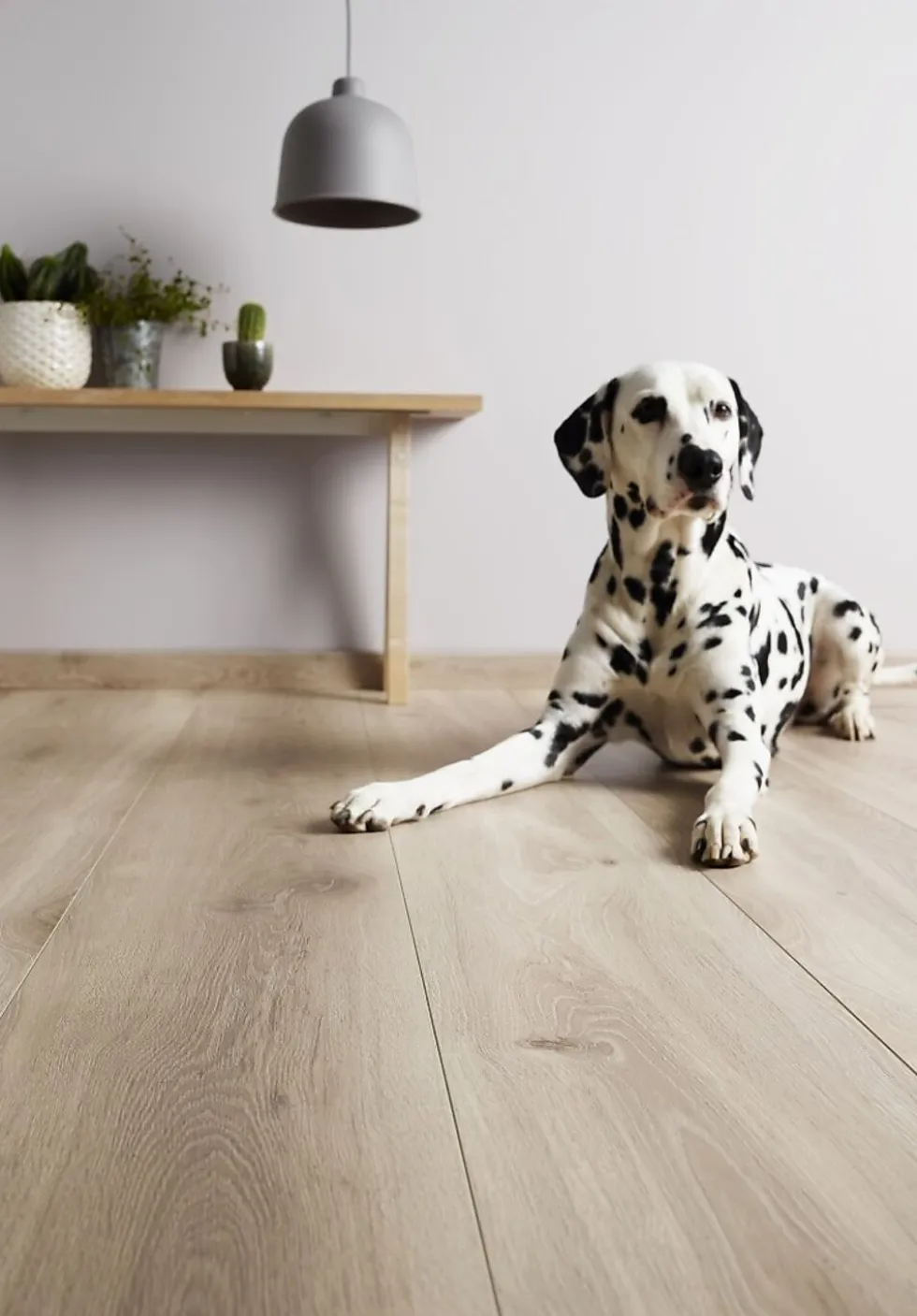Opus laminatgulv 1-stav XL hvit bred og lang bord