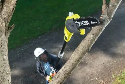 Ryobi grensag OPP1820 med teleskopskaft