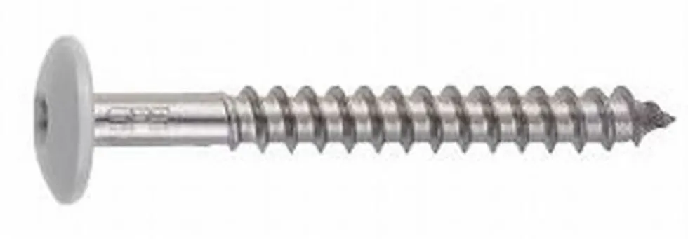 Skrue rfr tw-s-d12/t20-4,8x44 blank
