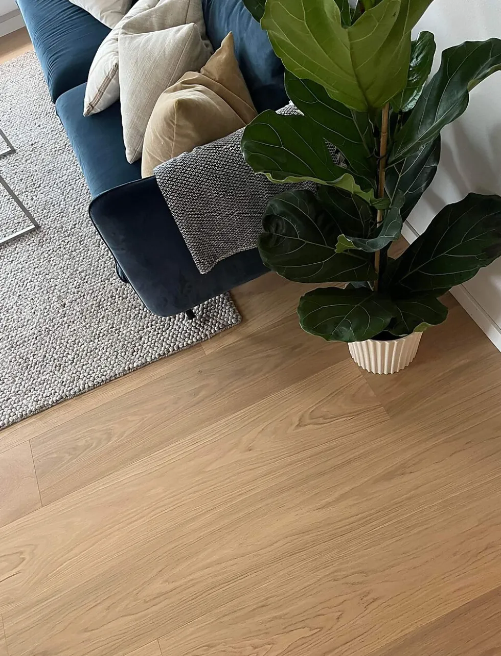Tregulv eik aud select lys mattlakk