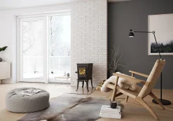 Vedovn med kokeplate F 602 Eco sort