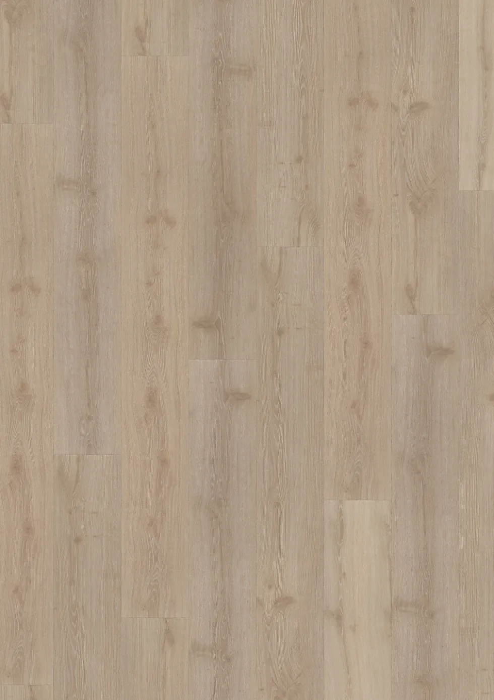 Vinyl dovecot impression ltclw2201-218